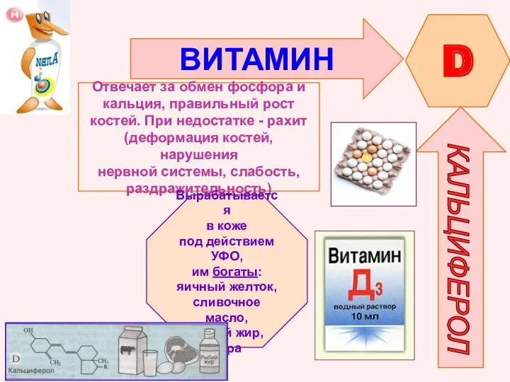 ВИТАМИН D КАЛЬЦИФЕРОЛ Отвечает за обмен фосфора и кальция, правильный