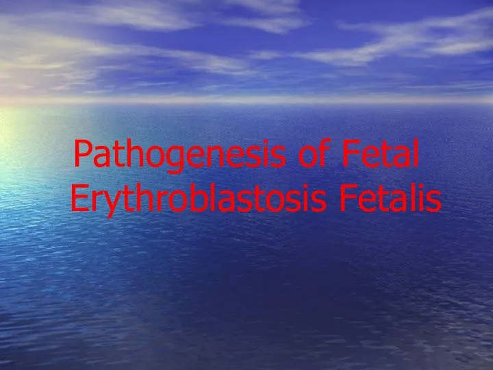 Pathogenesis of Fetal Erythroblastosis Fetalis