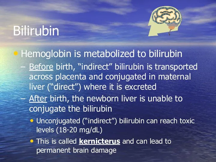 Bilirubin Hemoglobin is metabolized to bilirubin Before birth, “indirect” bilirubin