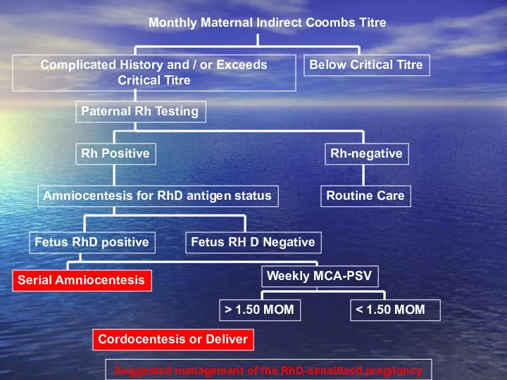 Suggested management of the RhD-sensitized pregnancy Monthly Maternal Indirect Coombs