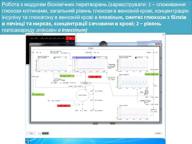 Робота з модулем біохімічних перетворень (зареєструвати: 1 – споживання глюкози