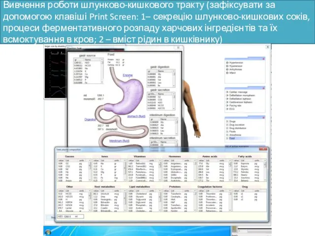 Вивчення роботи шлунково-кишкового тракту (зафіксувати за допомогою клавіші Print Screen: