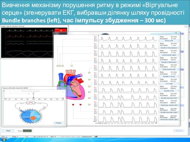 Вивчення механізму порушення ритму в режимі «Віртуальне серце» (згенерувати ЕКГ,