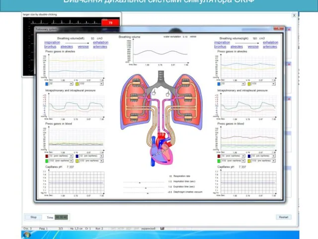 Вивчення дихальної системи симулятора СКІФ