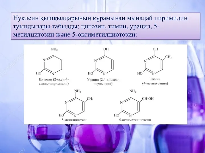 Нуклеин қышқылдарының құрамынан мынадай пиримидин туындылары табылды: цитозин, тимин, урацил, 5-метилцитозин жəне 5-оксиметилциотозин: