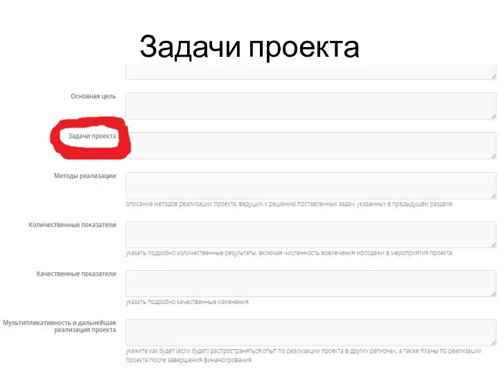 Задачи проекта