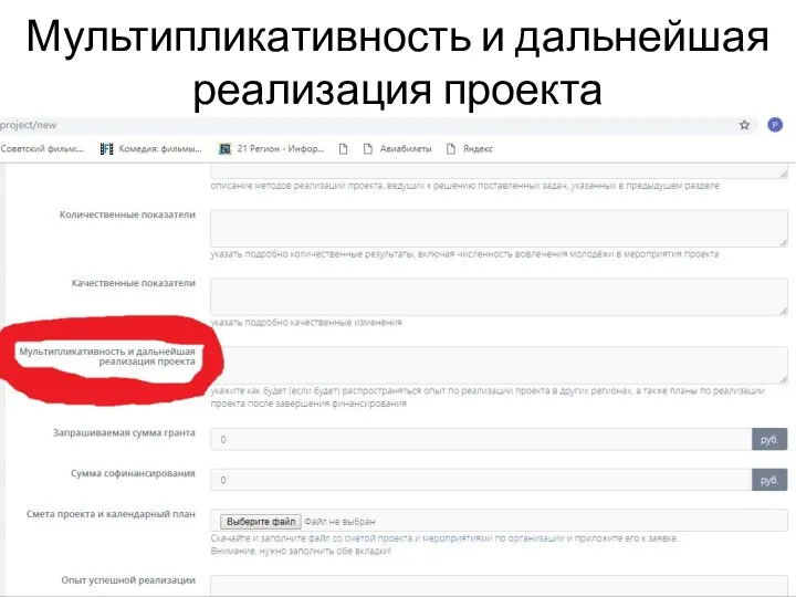 Мультипликативность и дальнейшая реализация проекта