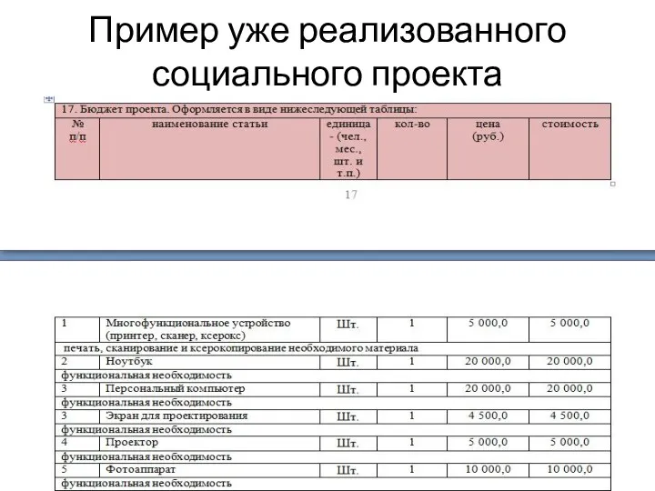 Пример уже реализованного социального проекта