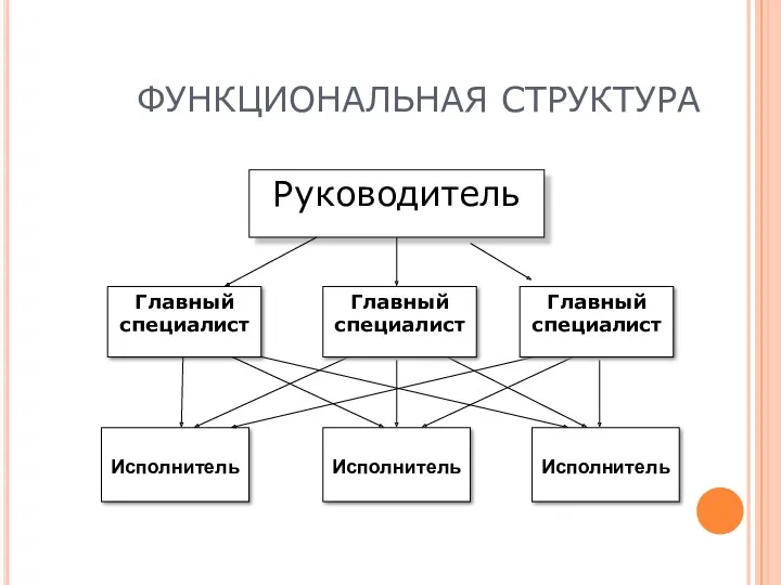 ФУНКЦИОНАЛЬНАЯ СТРУКТУРА Руководитель Главный специалист Исполнитель Главный специалист Главный специалист Исполнитель Исполнитель