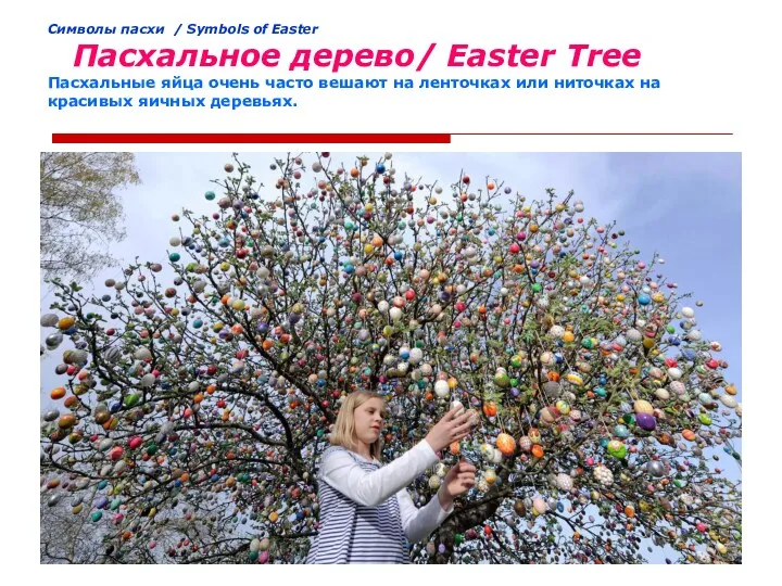 Cимволы пасхи / Symbols of Easter Пасхальное дерево/ Easter Tree