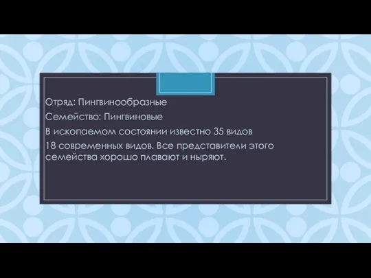 Отряд: Пингвинообразные Семейство: Пингвиновые В ископаемом состоянии известно 35 видов