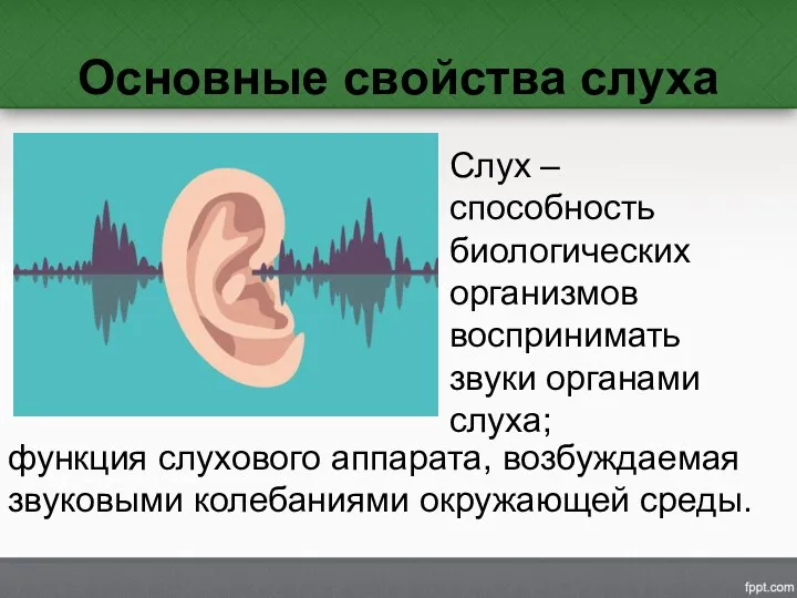 Основные свойства слуха Слух – способность биологических организмов воспринимать звуки