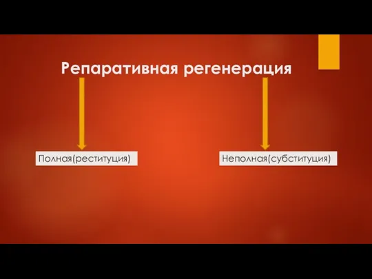 Репаративная регенерация Полная(реституция) Неполная(субституция)