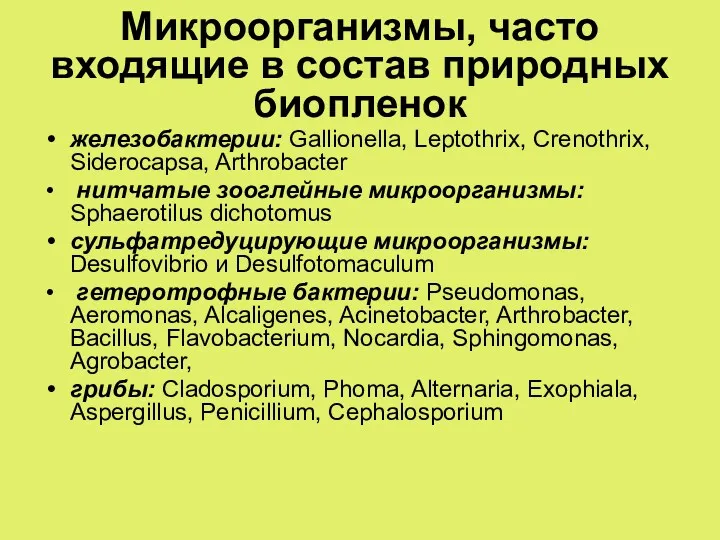 Микроорганизмы, часто входящие в состав природных биопленок железобактерии: Gallionella, Leptothrix, Crenothrix, Siderocapsa, Arthrobacter