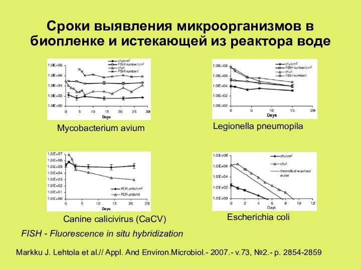 Сроки выявления микроорганизмов в биопленке и истекающей из реактора воде Markku J. Lehtola