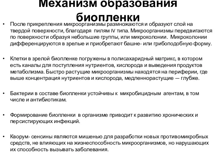 Механизм образования биопленки После прикрепления микроорганизмы размножаются и образуют слой