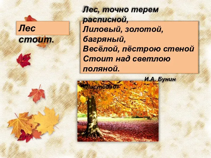 Лес, точно терем расписной, Лиловый, золотой, багряный, Весёлой, пёстрою стеной