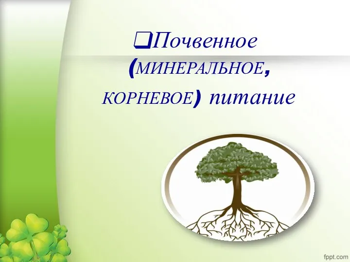 Почвенное (МИНЕРАЛЬНОЕ, КОРНЕВОЕ) питание