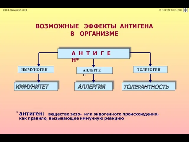 ВОЗМОЖНЫЕ ЭФФЕКТЫ АНТИГЕНА В ОРГАНИЗМЕ А Н Т И Г