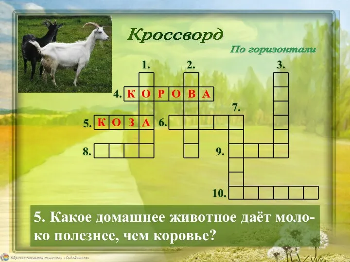 5. Какое домашнее животное даёт моло- ко полезнее, чем коровье? Кроссворд По горизонтали