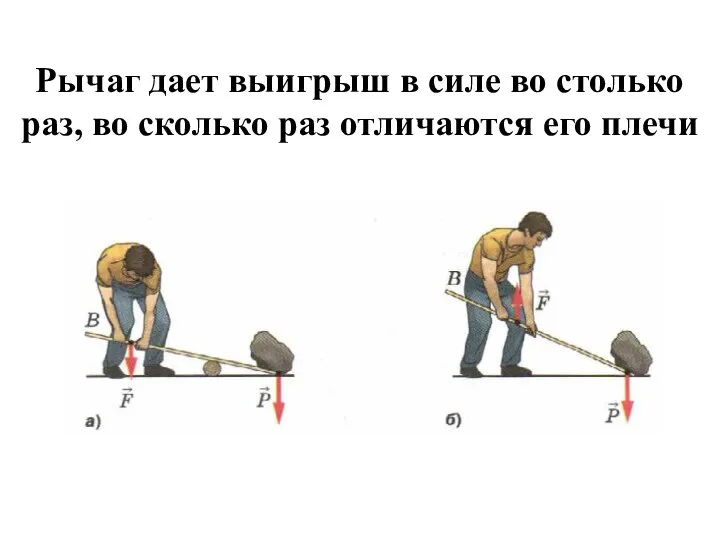 Рычаг дает выигрыш в силе во столько раз, во сколько раз отличаются его плечи