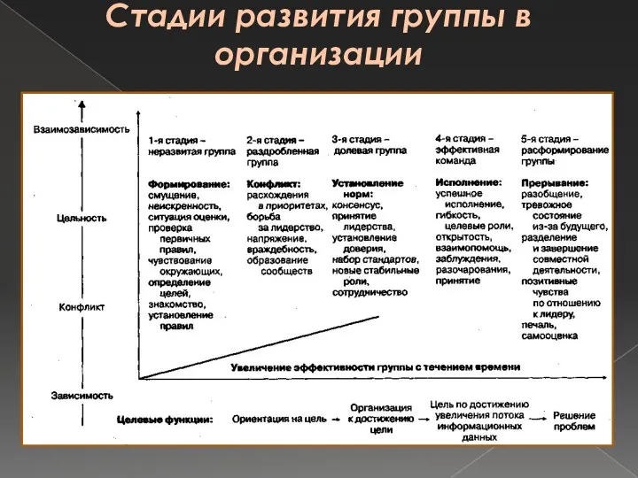 Стадии развития группы в организации