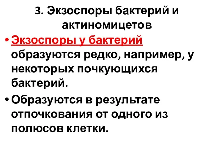 3. Экзоспоры бактерий и актиномицетов Экзоспоры у бактерий образуются редко,