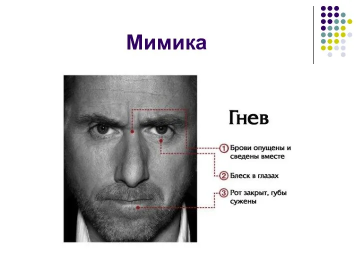 Мимика