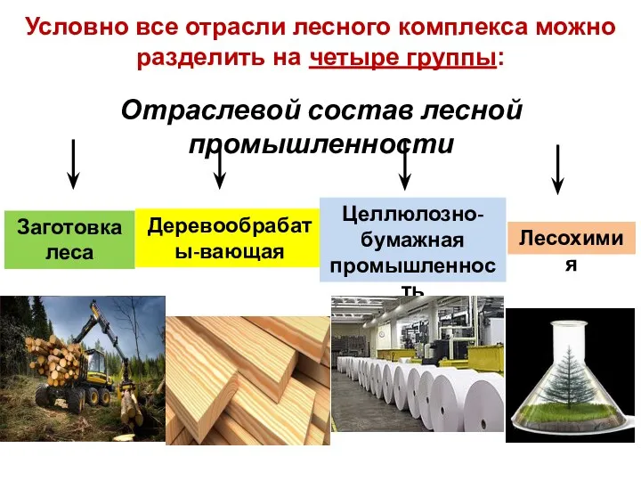 Отраслевой состав лесной промышленности Заготовка леса Деревообрабаты-вающая Целлюлозно-бумажная промышленность Лесохимия