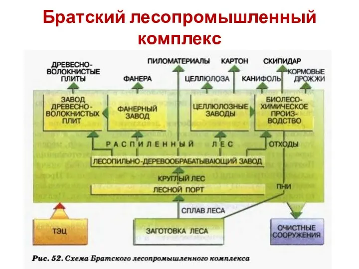 Братский лесопромышленный комплекс