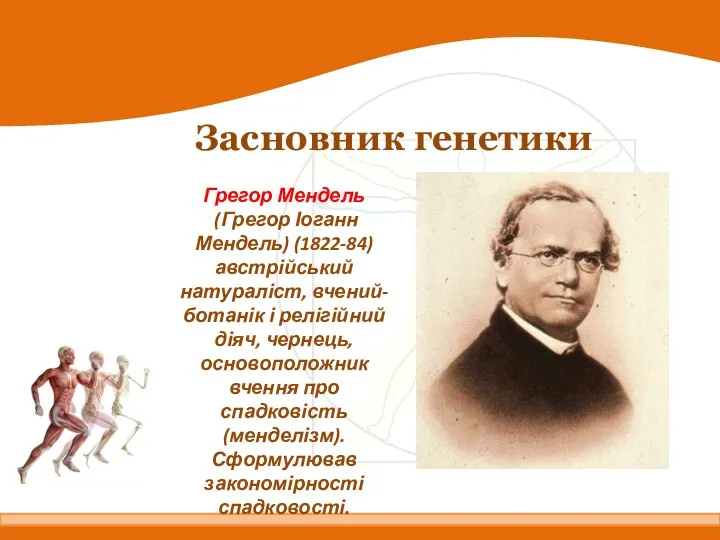 Засновник генетики Грегор Мендель (Грегор Іоганн Мендель) (1822-84) австрійський натураліст,