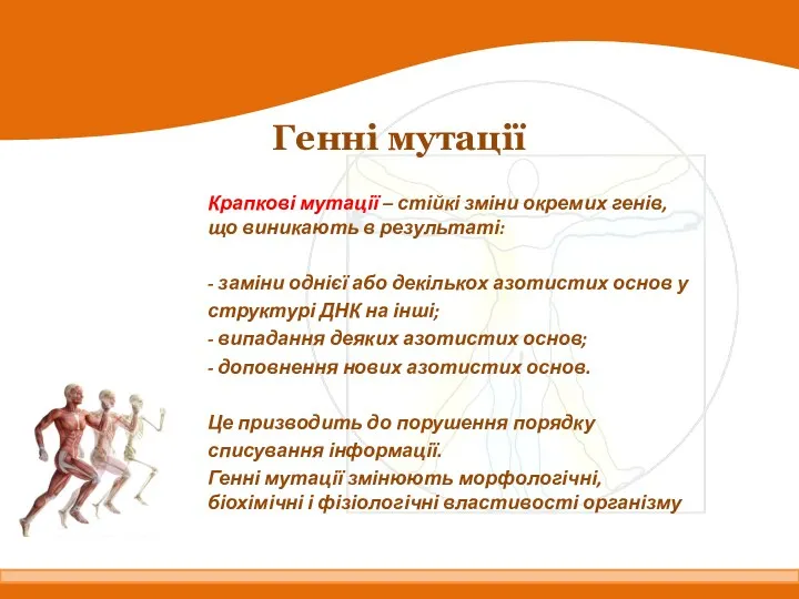 Генні мутації Крапкові мутації – стійкі зміни окремих генів, що