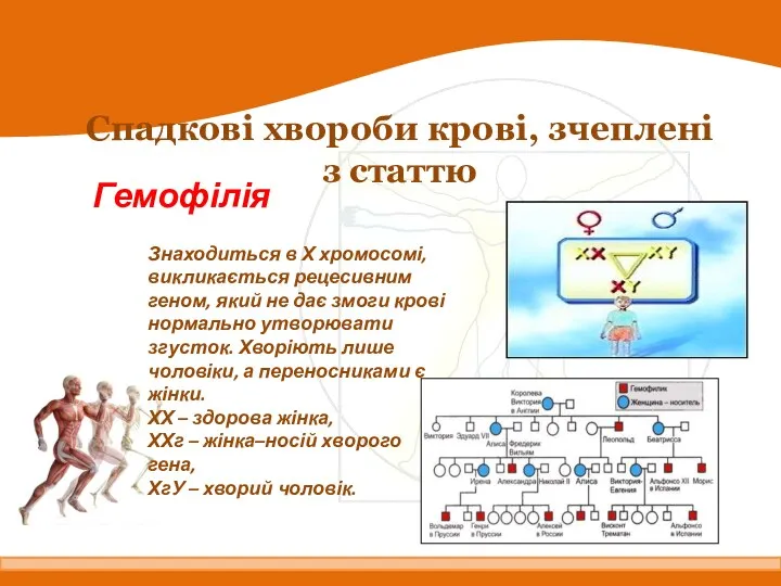 Спадкові хвороби крові, зчеплені з статтю Гемофілія Знаходиться в Х