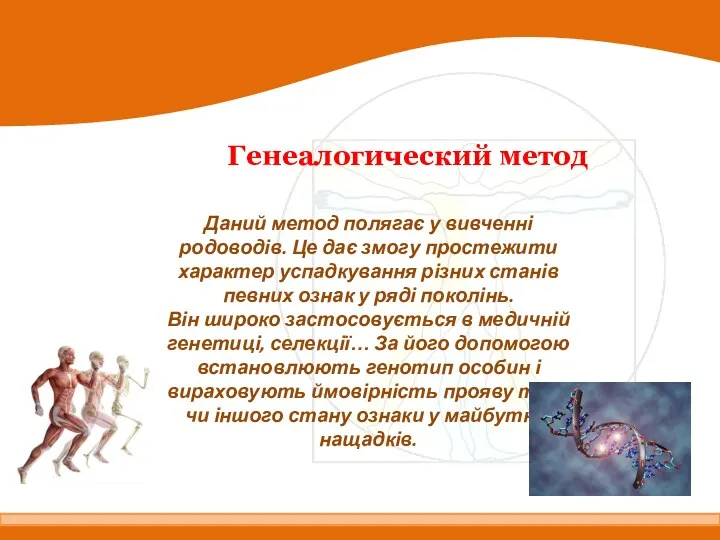 Генеалогический метод Даний метод полягає у вивченні родоводів. Це дає