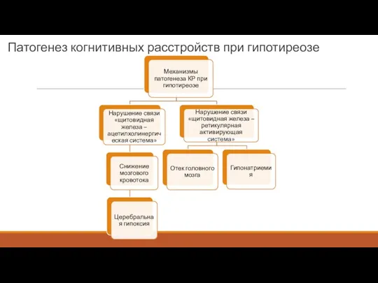 Патогенез когнитивных расстройств при гипотиреозе