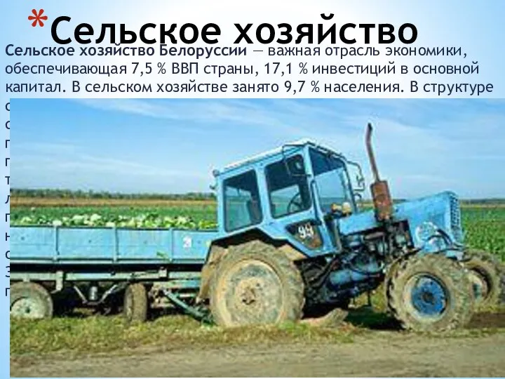 Сельское хозяйство Белоруссии — важная отрасль экономики, обеспечивающая 7,5 %