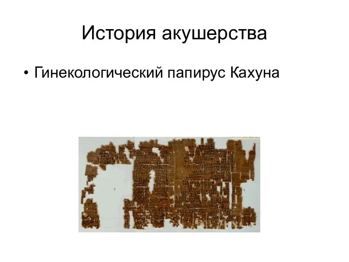 История акушерства Гинекологический папирус Кахуна