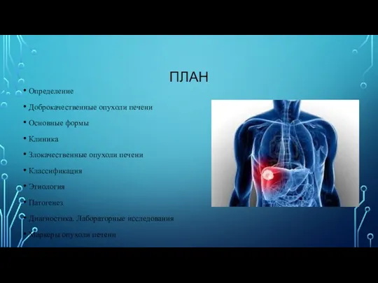 ПЛАН Определение Доброкачественные опухоли печени Основные формы Клиника Злокачественные опухоли