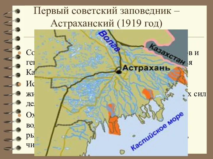 Первый советский заповедник – Астраханский (1919 год) Цель создания: Сохранение