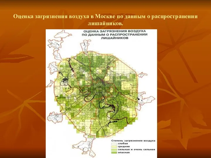 Оценка загрязнения воздуха в Москве по данным о распространении лишайников.