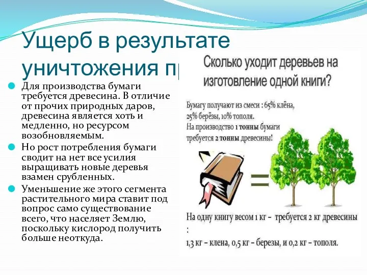 Ущерб в результате уничтожения природы Для производства бумаги требуется древесина.