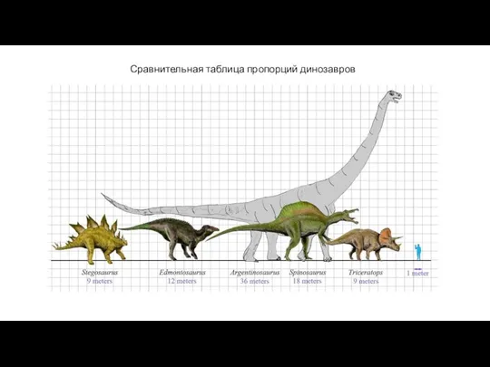 Сравнительная таблица пропорций динозавров