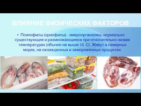 ВЛИЯНИЕ ФИЗИЧЕСКИХ ФАКТОРОВ Психофилы (криофилы) - микроорганизмы, нормально существующие и размножающиеся при относительно