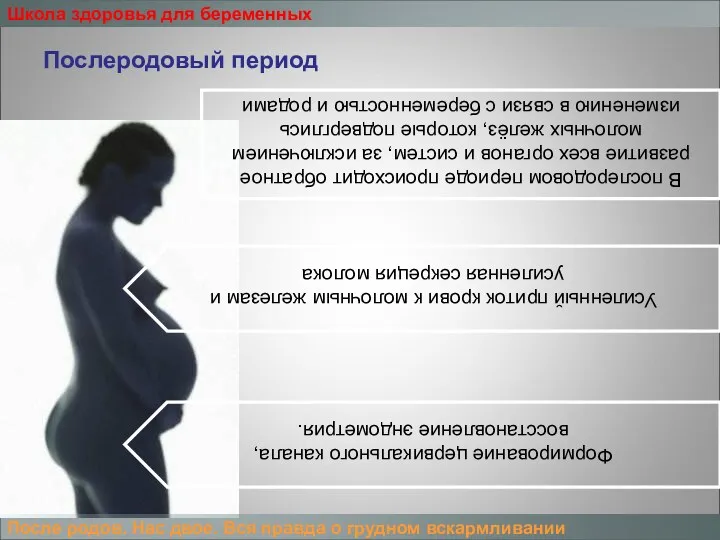 Школа здоровья для беременных Послеродовый период Формирование цервикального канала, восстановление эндометрия. Усиленный приток