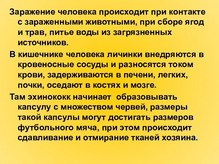 Заражение человека происходит при контакте с зараженными животными, при сборе