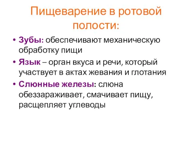 Пищеварение в ротовой полости: Зубы: обеспечивают механическую обработку пищи Язык