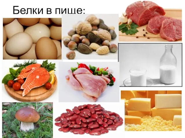 Белки в пище: