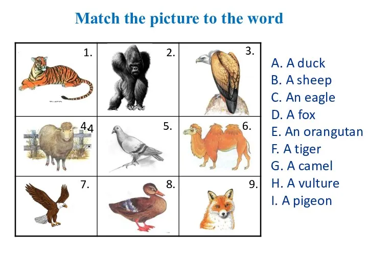 Match the picture to the word 1. 2. 3. 4.