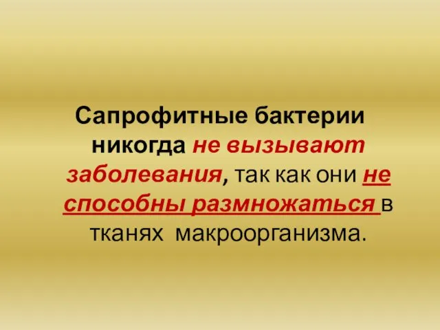 Сапрофитные бактерии никогда не вызывают заболевания, так как они не способны размножаться в тканях макроорганизма.