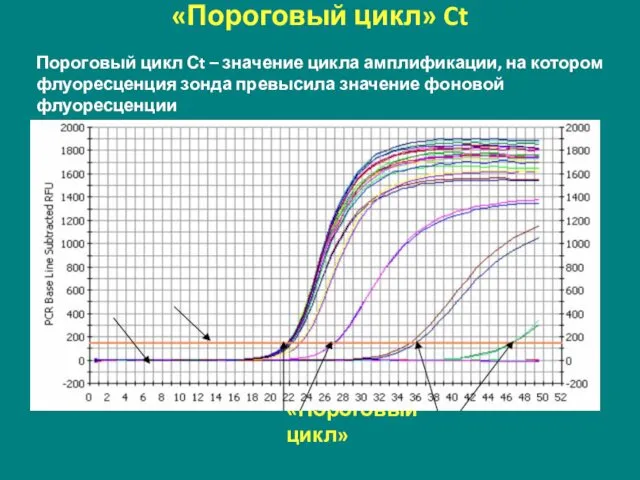 «Пороговый цикл» Ct «Фон» «Порог» «Пороговый цикл» Пороговый цикл Сt